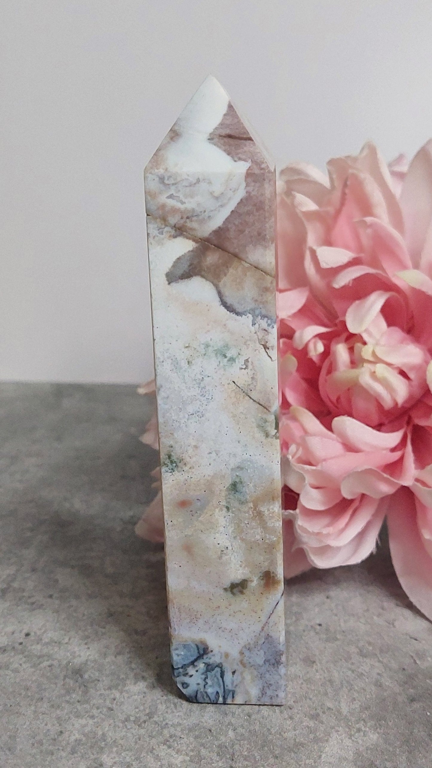 Torni, valtamerijaspis 14cm