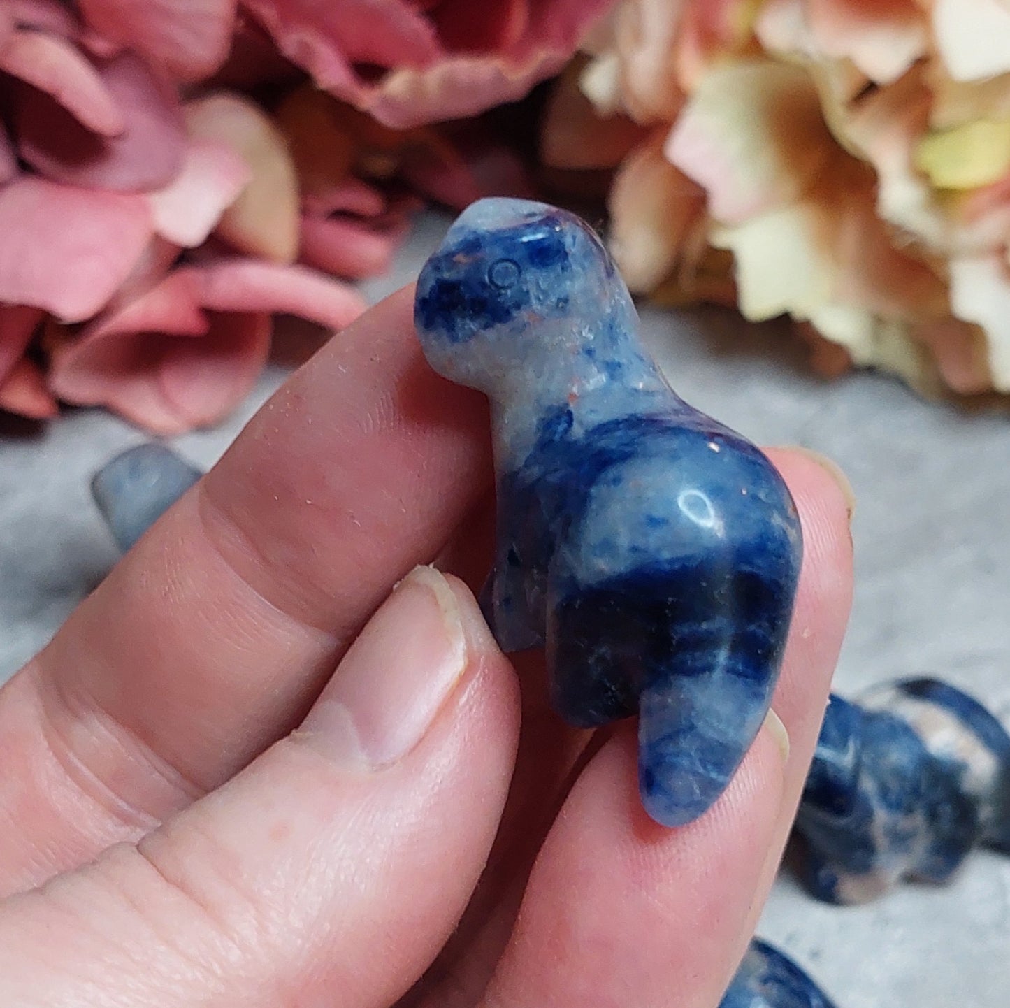 Mini dino, sodaliitti