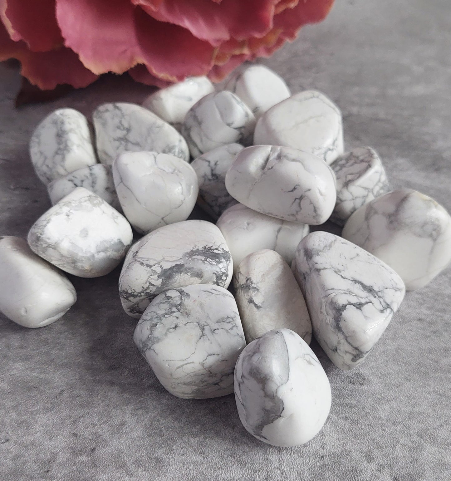 Rumpuhiottu Howliitti