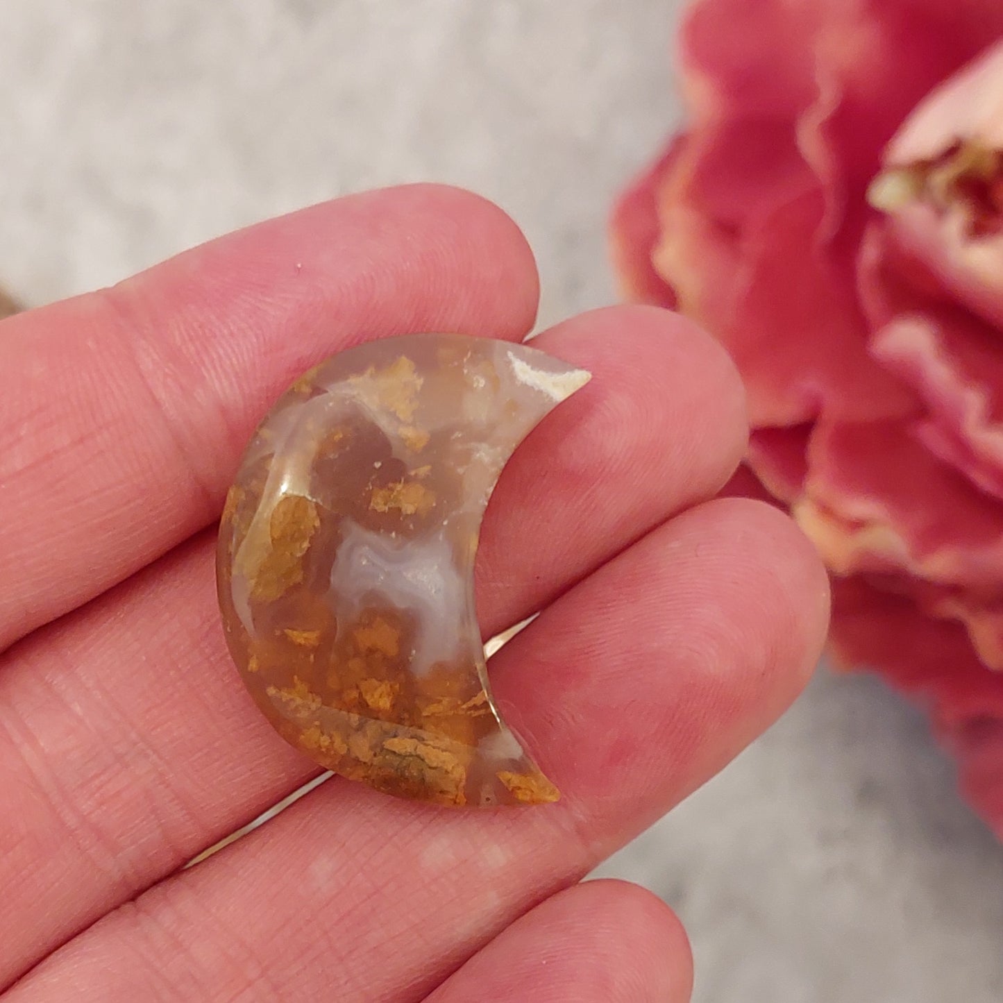 Minikuu ibis akaatti (C4.1)