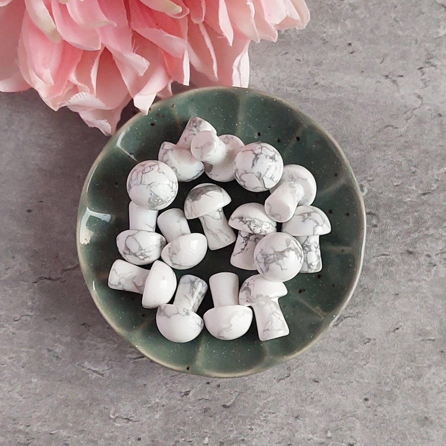 Sieni, howliitti (C1.2)