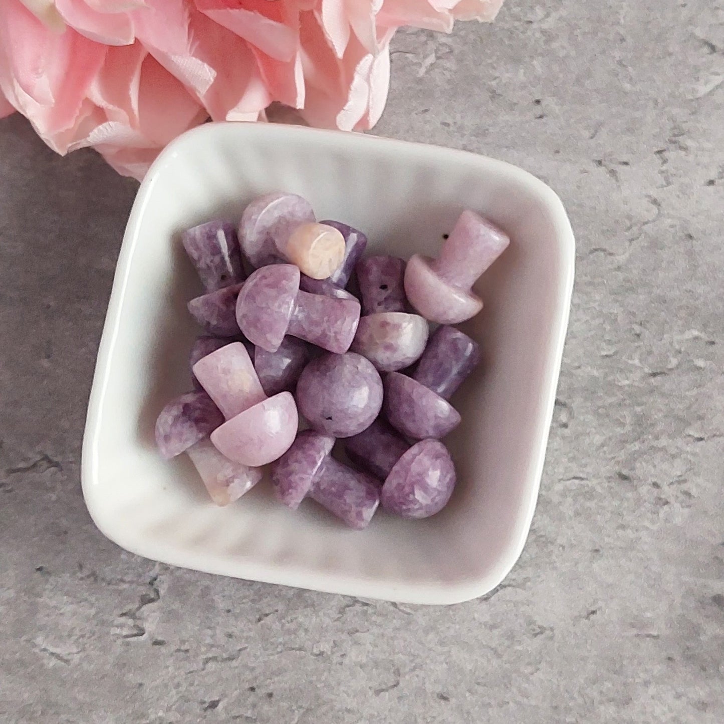 Sieni, lepidoliitti (C1.2)