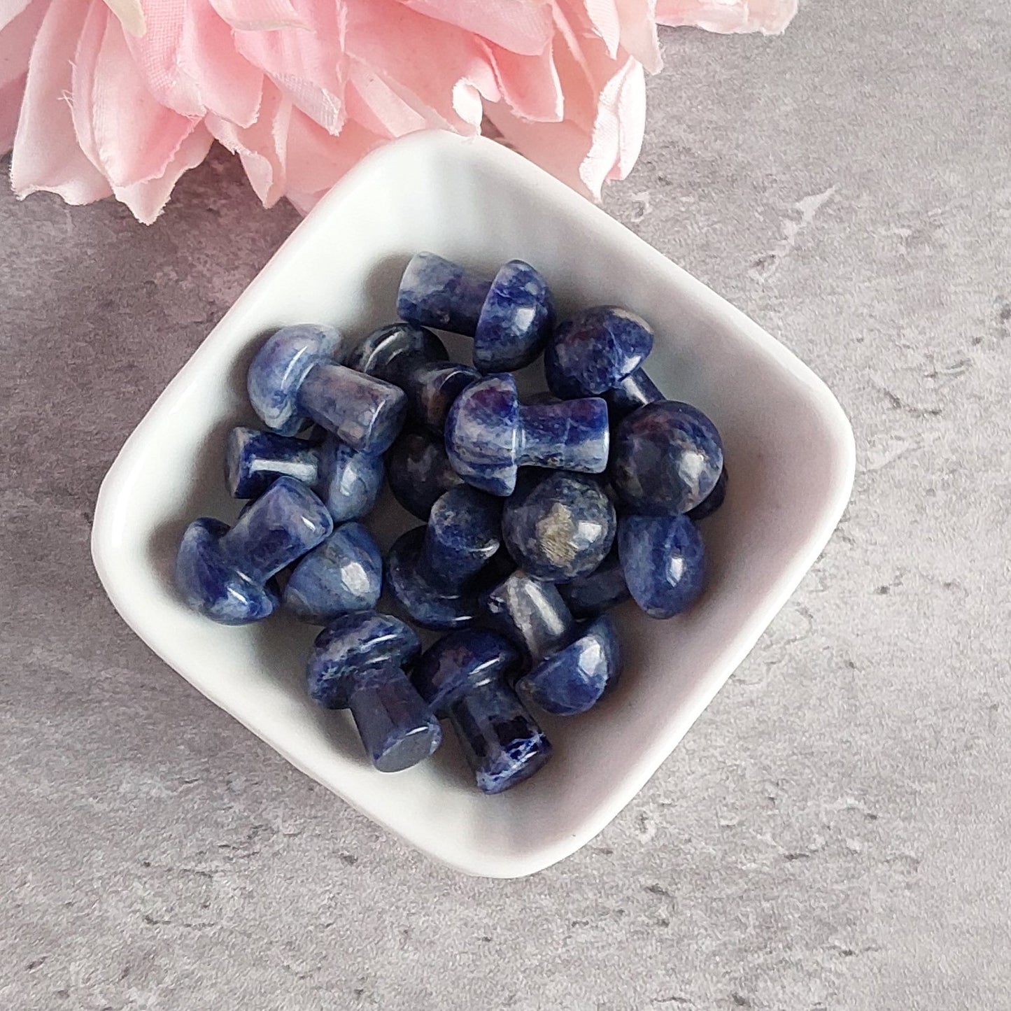 Sieni, sodaliitti (C1.1)