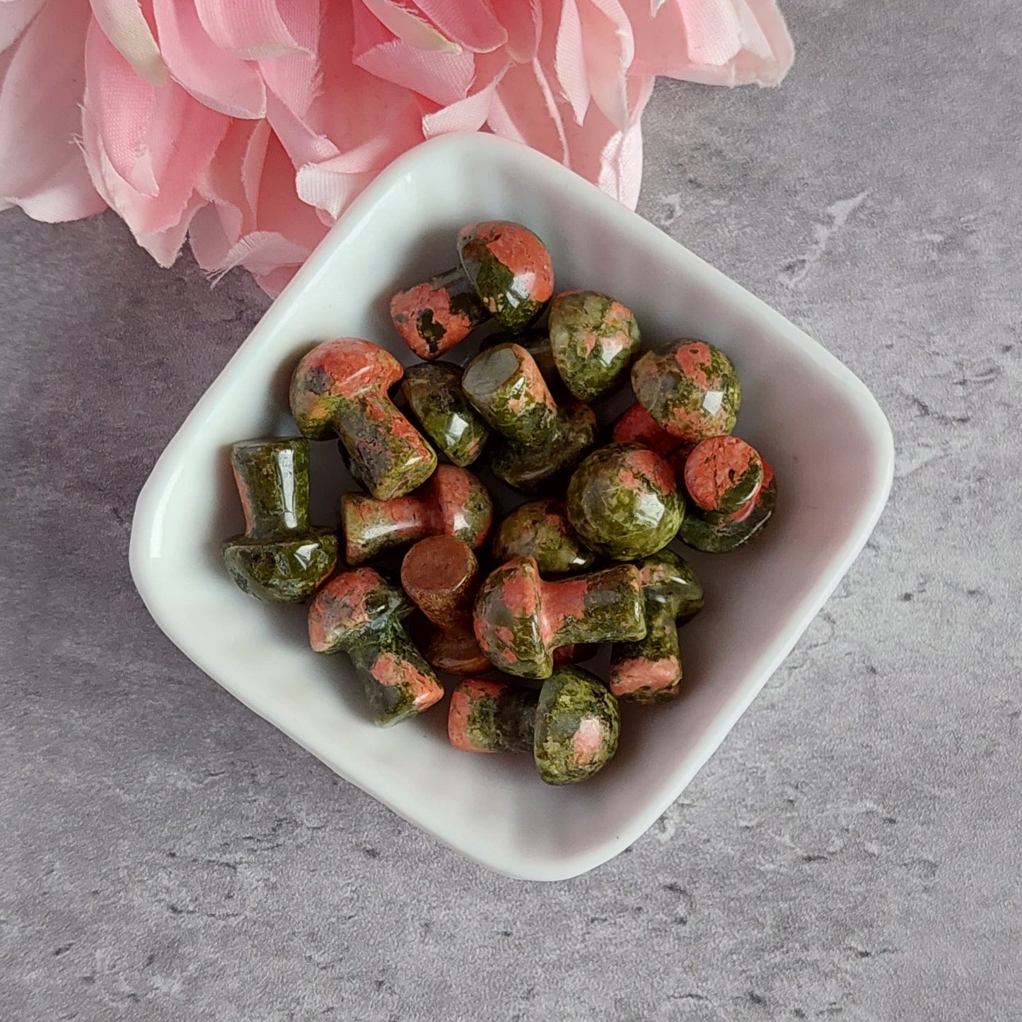 Sieni, unakiitti (C1.1)