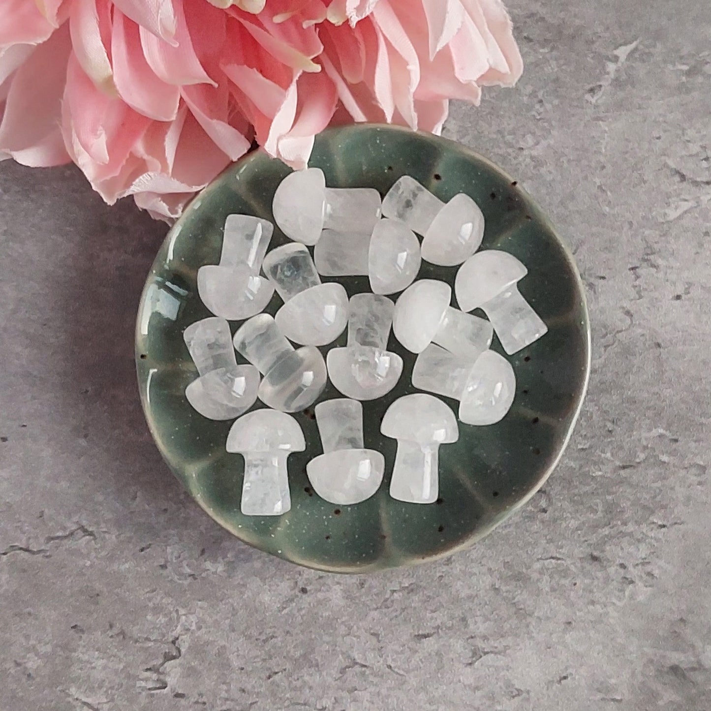 Sieni, vuorikristalli (C1.2)