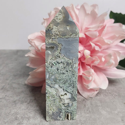 Torni, Sammalakaatti 11,5cm