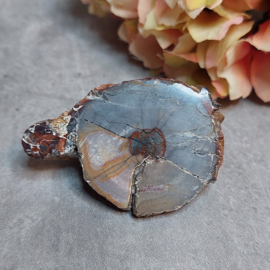 Gold mountain Thunderegg