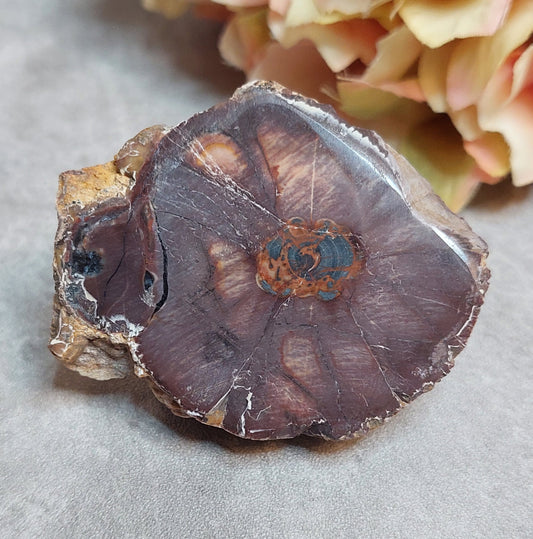 Gold mountain Thunderegg