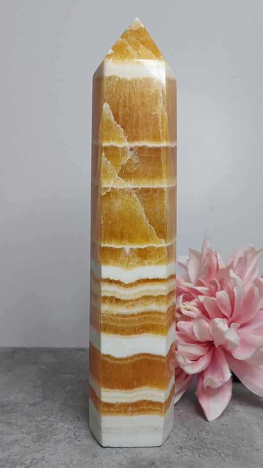 Torni, appelsiinikalsiitti 27cm JÄTTI