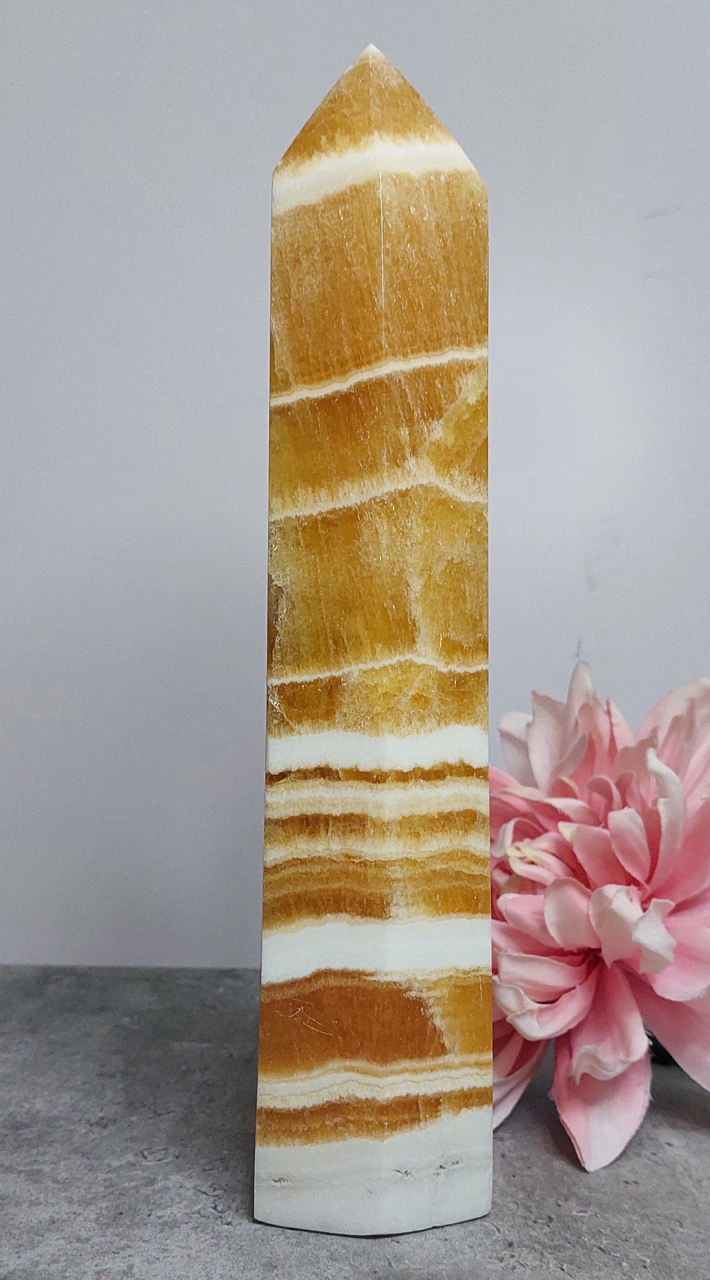 Torni, appelsiinikalsiitti 27cm JÄTTI