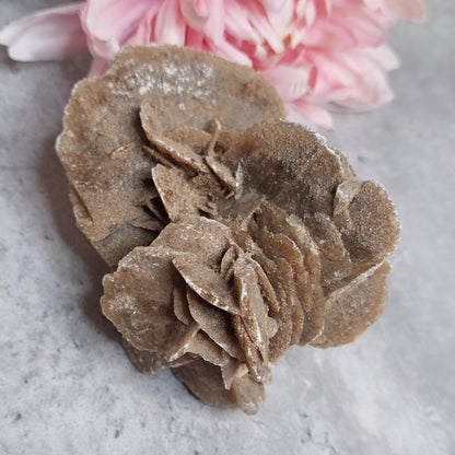 Desert rose