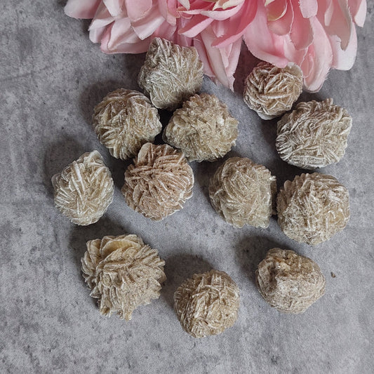 Desert rose