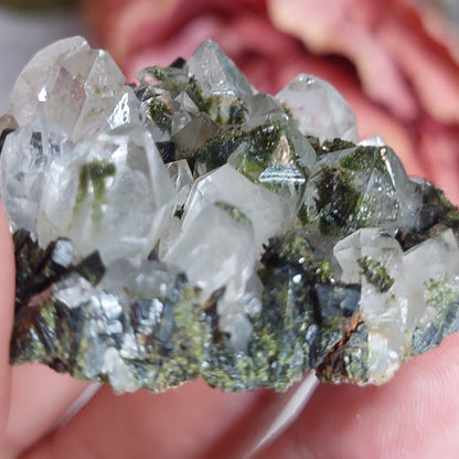 Turkin epidoottikvartsi
