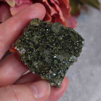 Turkin epidoottikvartsi