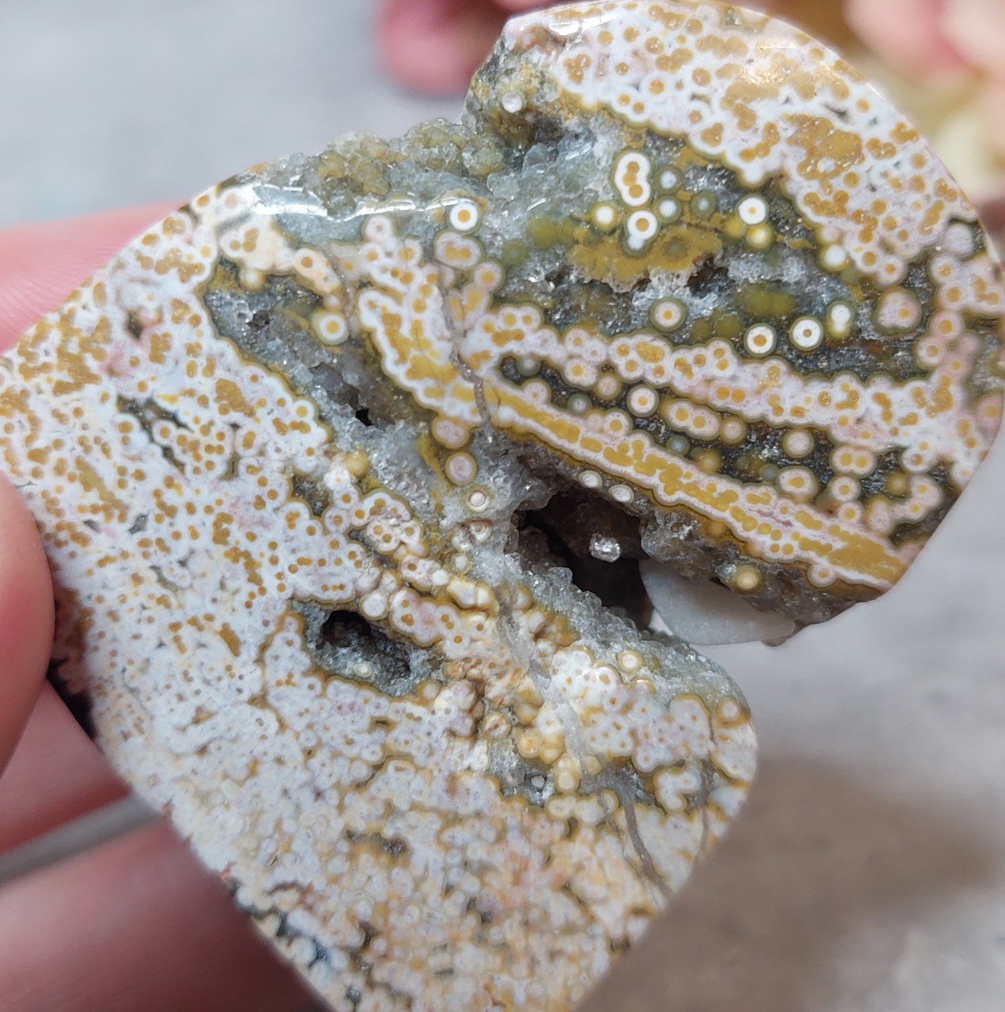 Freeform, orbikulaarinen valtamerijaspis