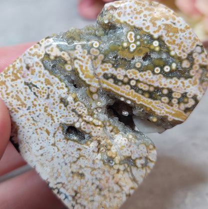 Freeform, orbikulaarinen valtamerijaspis