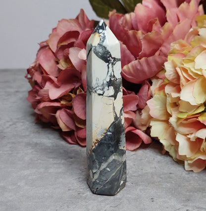 Torni, maliganojaspis 10,5cm