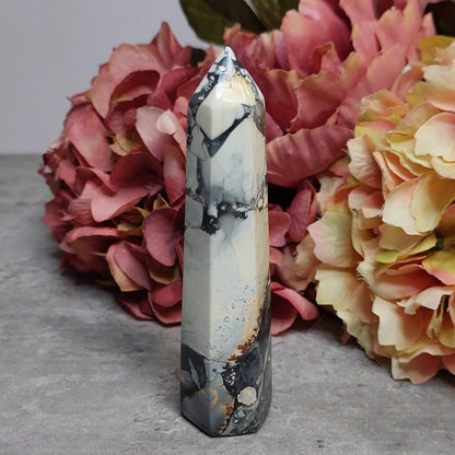 Torni, maliganojaspis 10,5cm