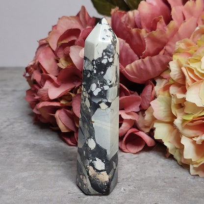 Torni, maliganojaspis 10,5cm