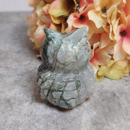 Pöllö, sammalakaatti 6cm