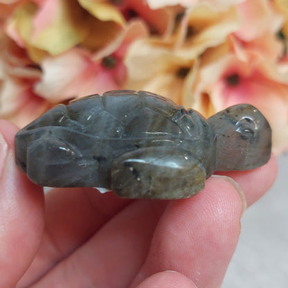 Kilpikonna, labradoriitti