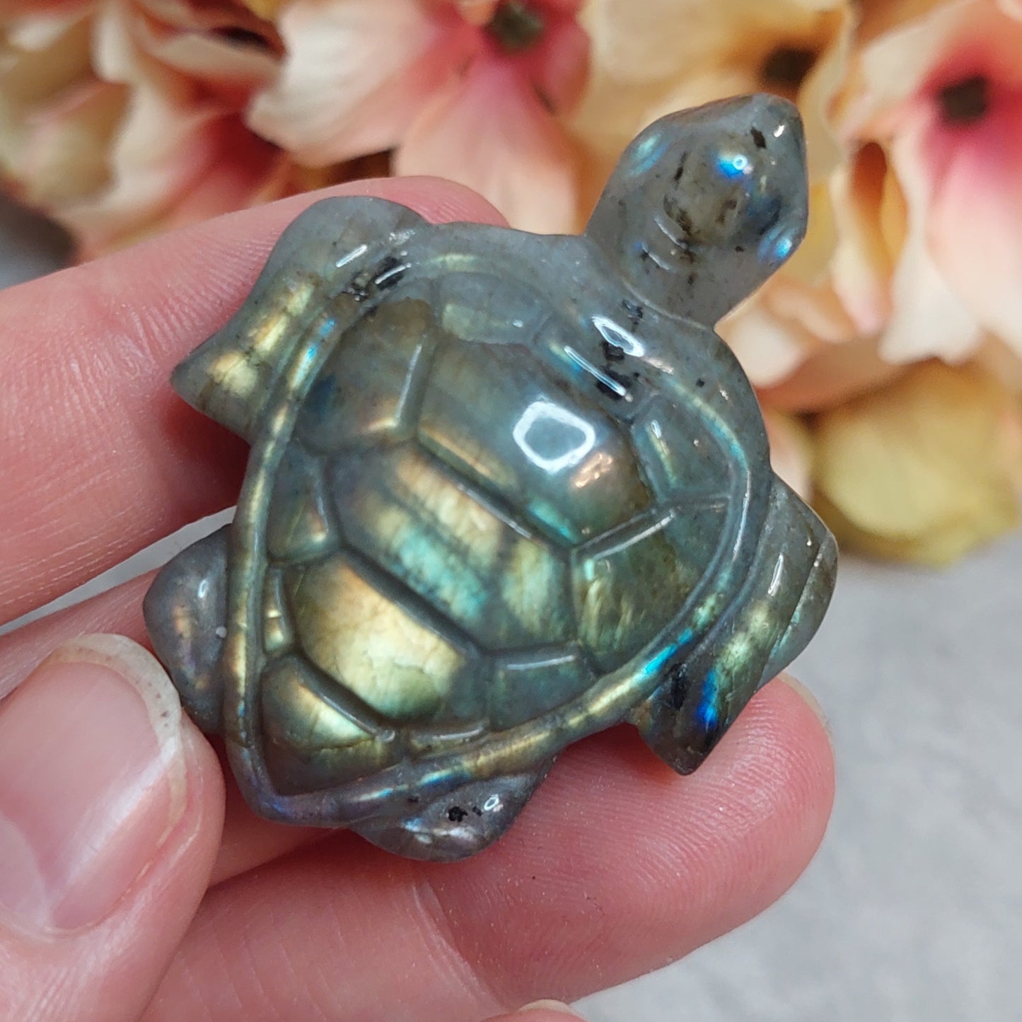 Kilpikonna, labradoriitti