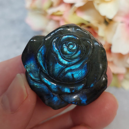 Ruusu, labradoriitti