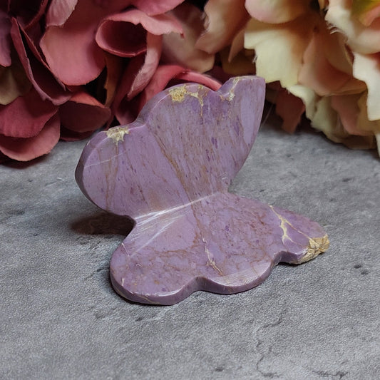 3D perhonen, phosphosideriitti