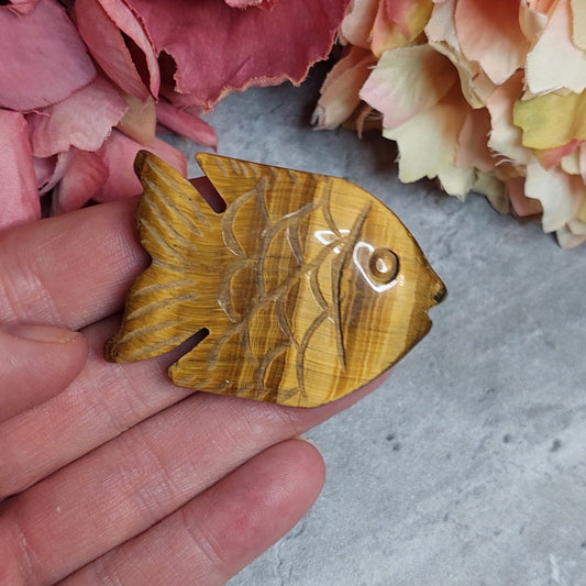 Kämmenkivi, kala tiikerinsilmä