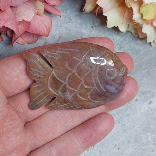 Kämmenkivi, kala valtamerijaspis