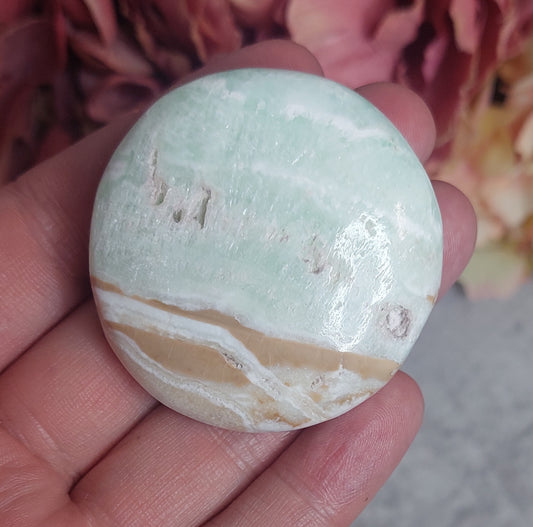 Kämmenkivi, nappi karibiankalsiitti