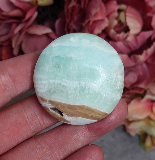 Kämmenkivi, nappi karibiankalsiitti