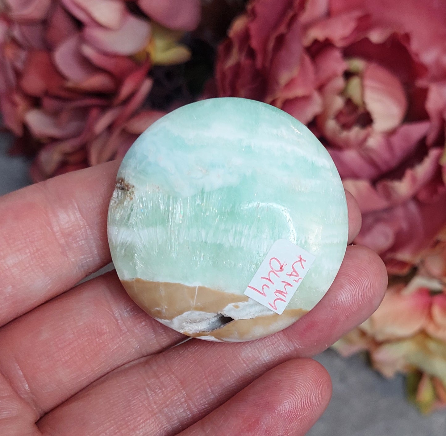 Kämmenkivi, nappi karibiankalsiitti