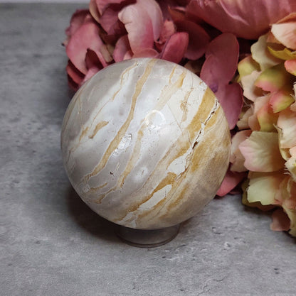 Pallo, kivettynyt puu 7cm