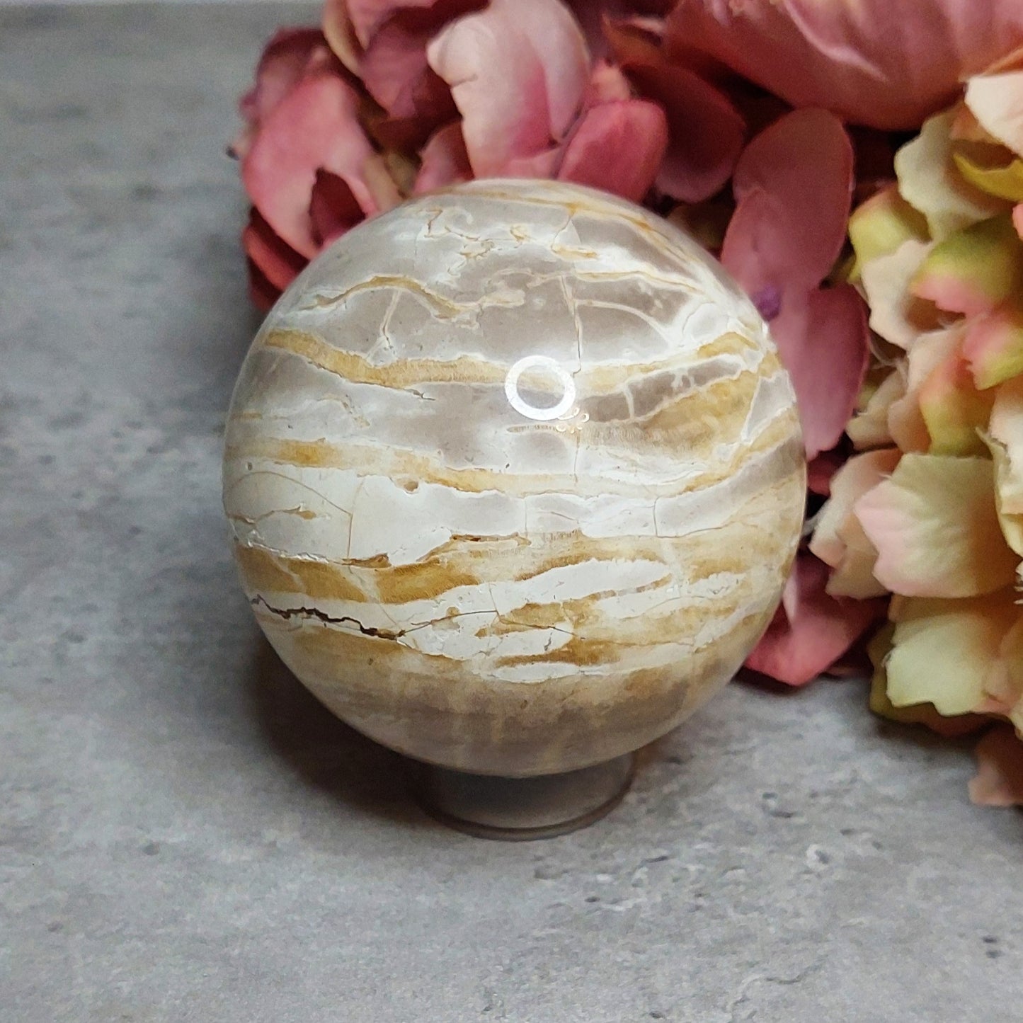 Pallo, kivettynyt puu 7cm