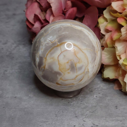 Pallo, kivettynyt puu 7cm