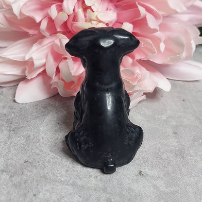 Koira, obsidiaani
