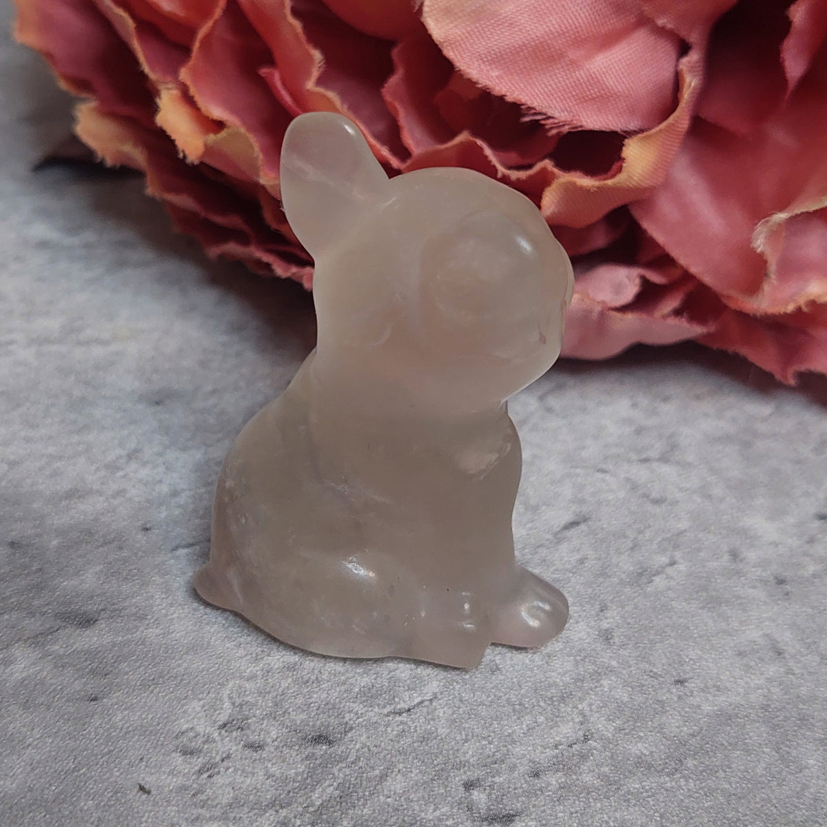 Koira, fluoriitti 5cm