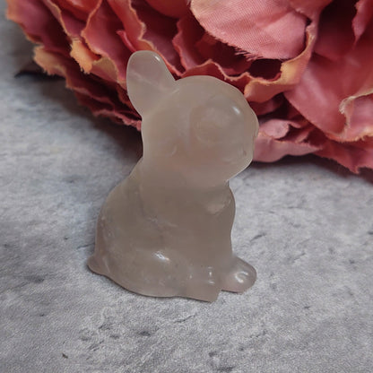 Koira, fluoriitti 5cm