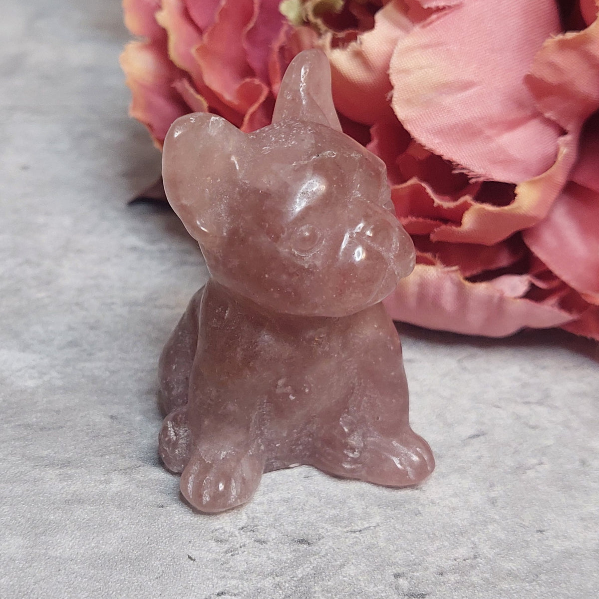 Koira, mansikkakvartsi 6cm