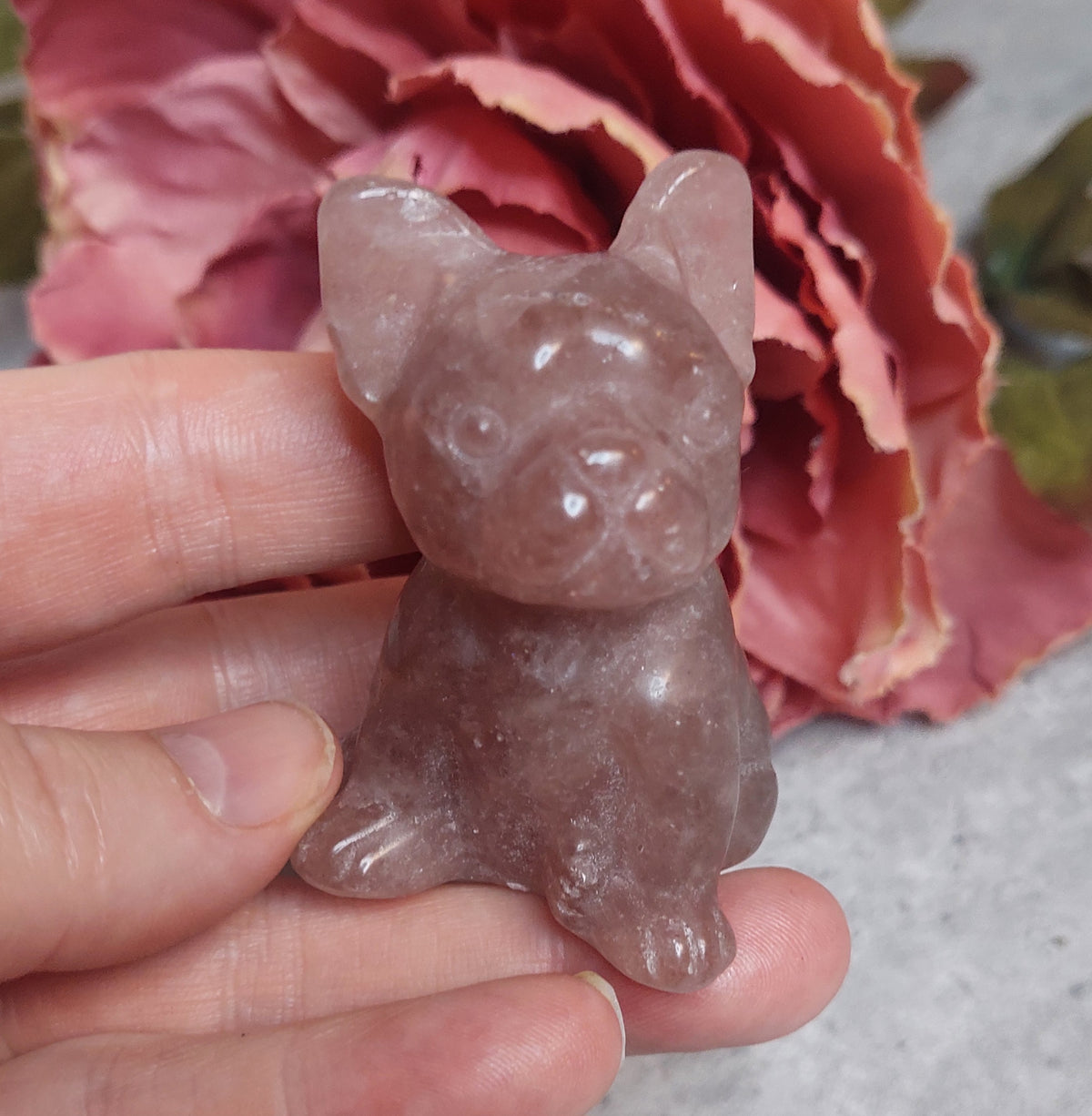 Koira, mansikkakvartsi 6cm