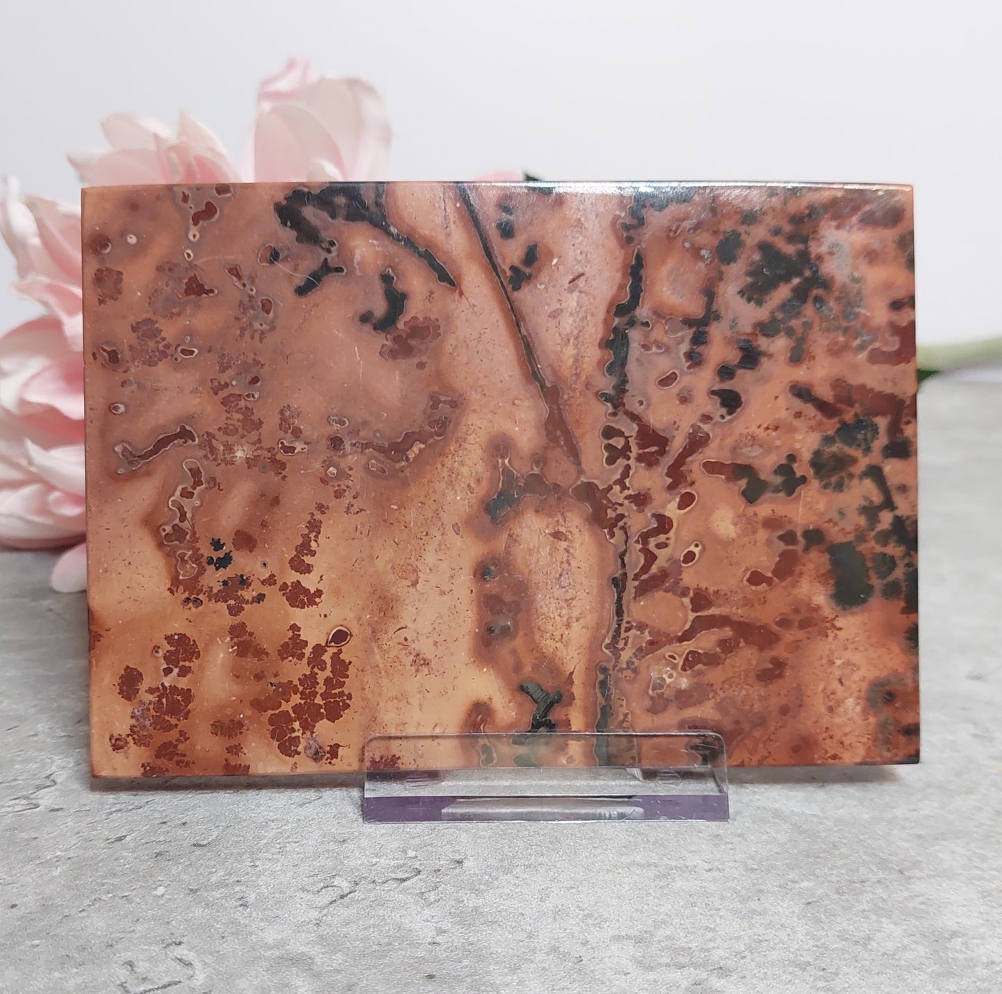 Picture jasper laatta