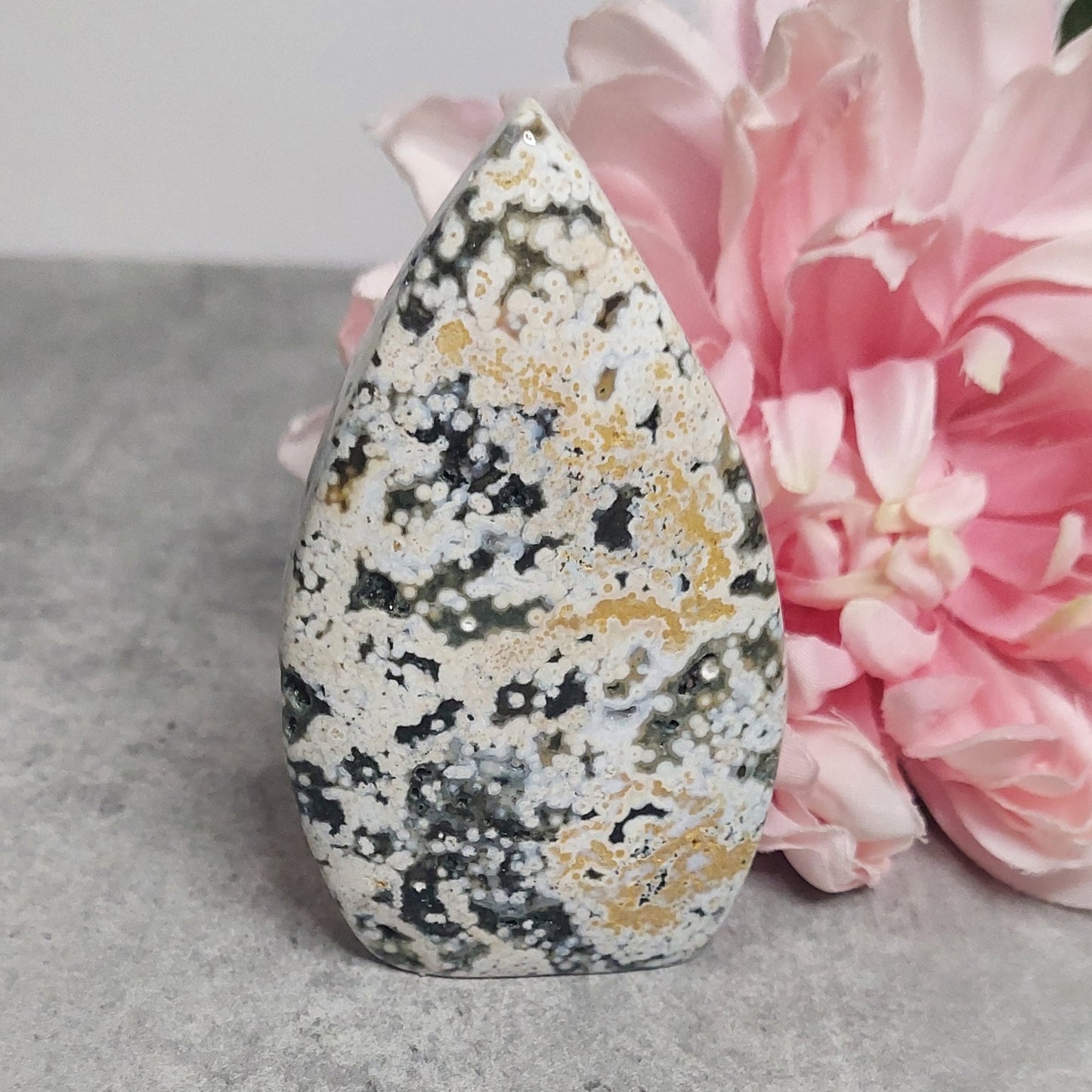 Lehti, pilkullinen valtamerijaspis 10cm