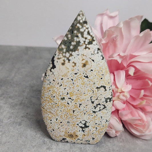 Lehti, pilkullinen valtamerijaspis 12cm