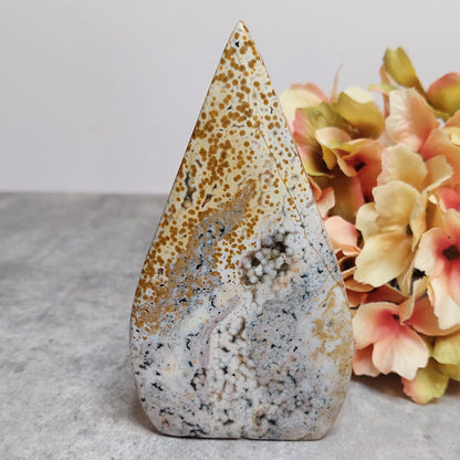 Lehti, pilkullinen valtamerijaspis 12cm