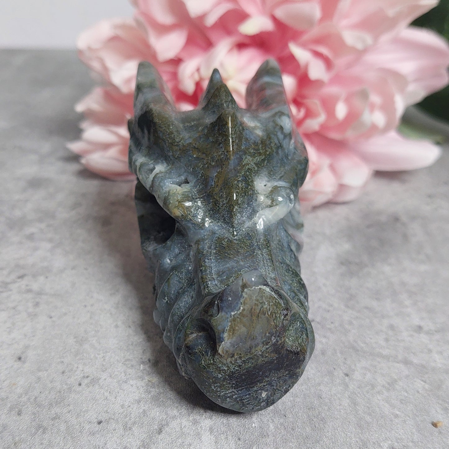 Lohis, sammalakaatti 10cm