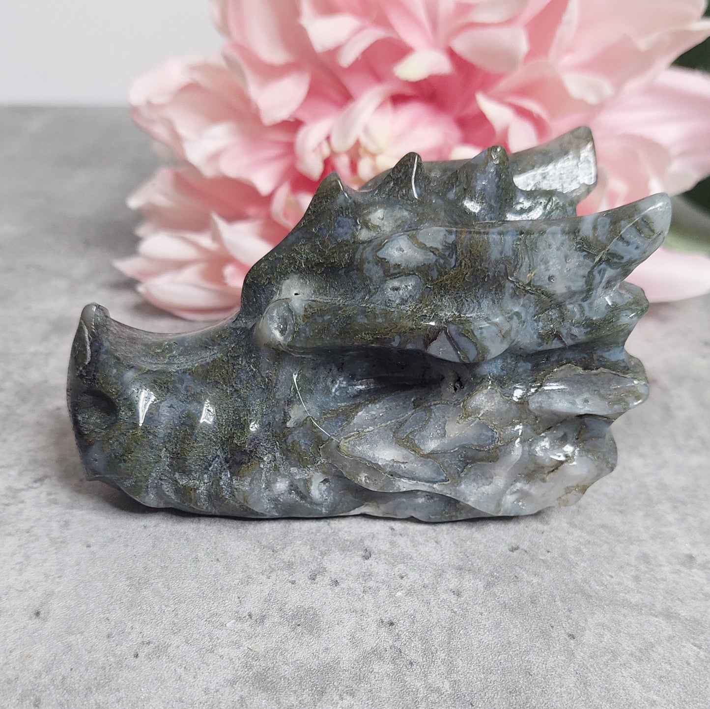 Lohis, sammalakaatti 10cm