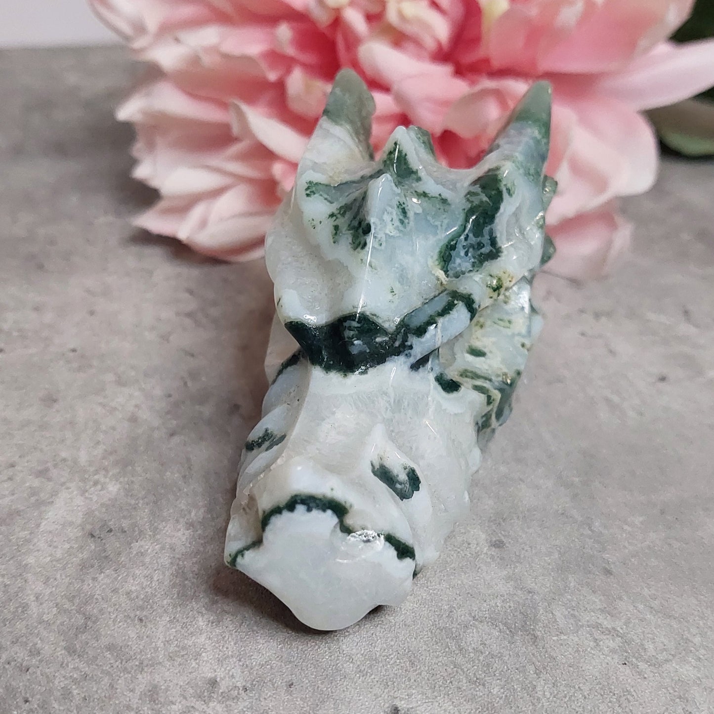 Lohis, sammalakaatti 10cm