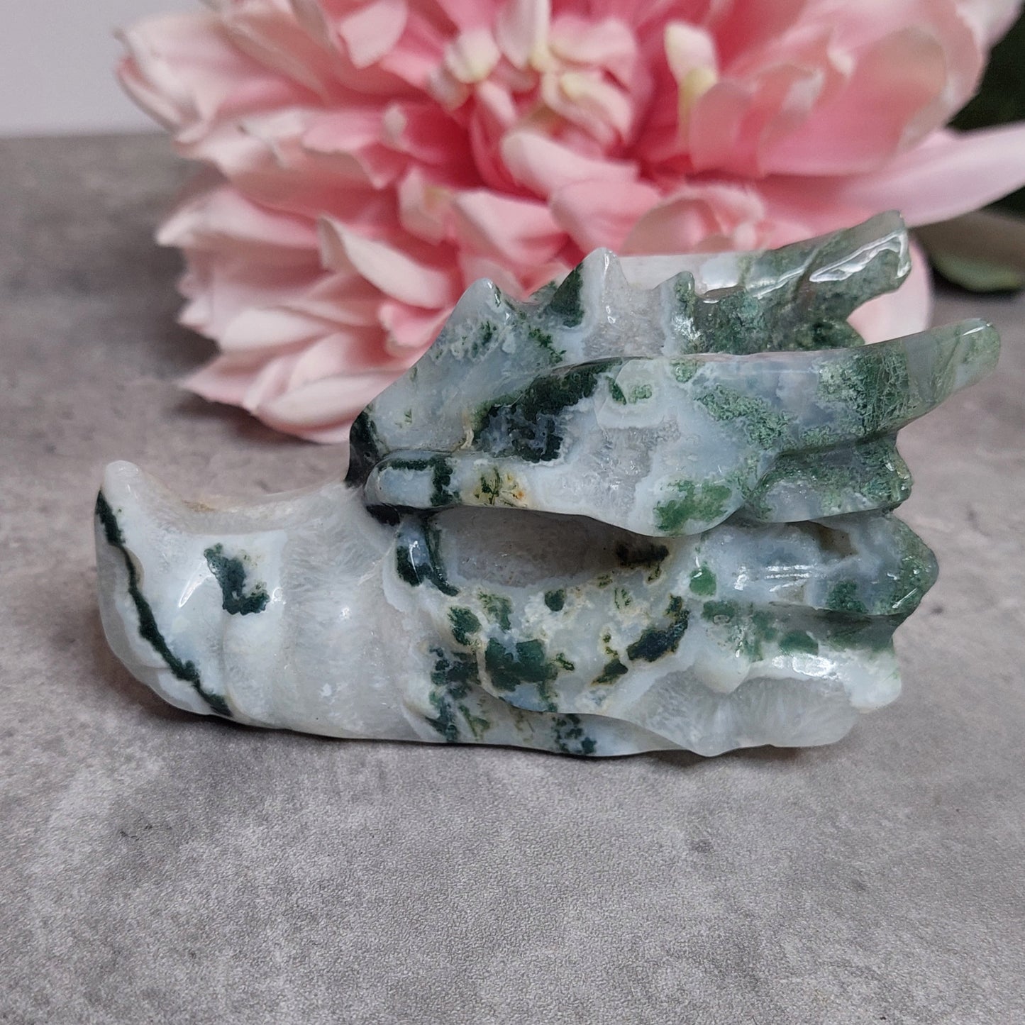 Lohis, sammalakaatti 10cm