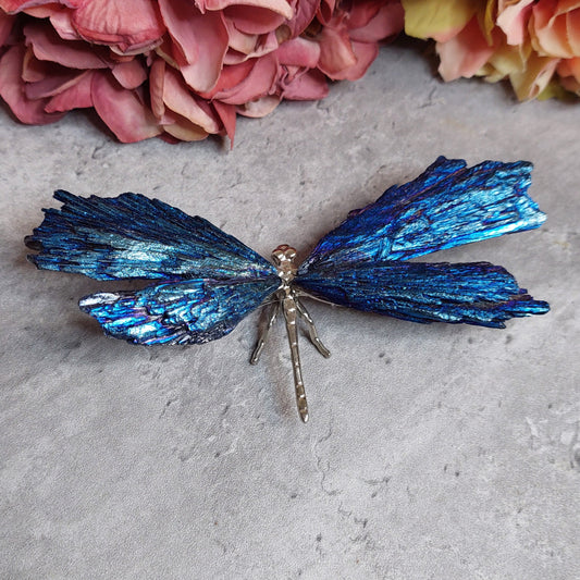 Sudenkorento aurakyaniittia sininen